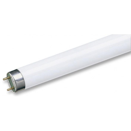 Лампа люминесцентная PHILIPS TL-D 36W/54-765 G13 Ø26мм дневной свет
