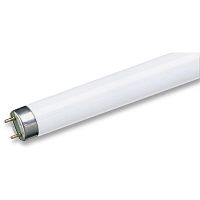 Лампа люминесцентная PHILIPS TL-D 18W/33-640 G13 Ø26мм холодный белый свет