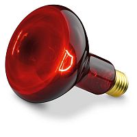 Лампа-термоизлучатель ИКЗК  R95 100W 230В E27 инфракрасный