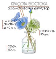 Ароматический диффузор (Красота) 120 мл.