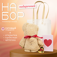 Подарочный набор для девушки, подруги, дочери: кулон, медвежонок, браслет, открытка и талисман
